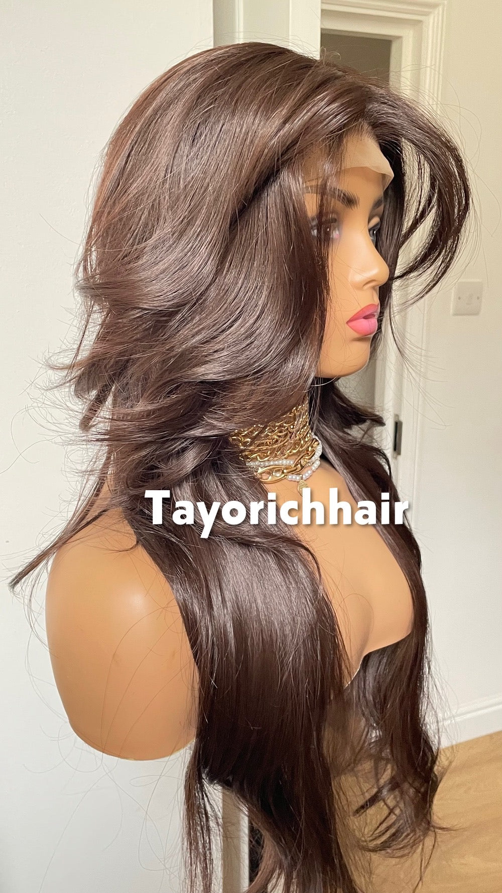 Tayorichhair Dark Brown Layered Glueless Synthetic Lace Front Wig (10"-22")